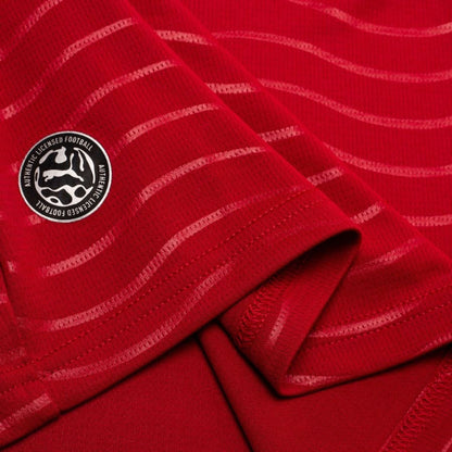 Maillot Portugal Domicile 2026