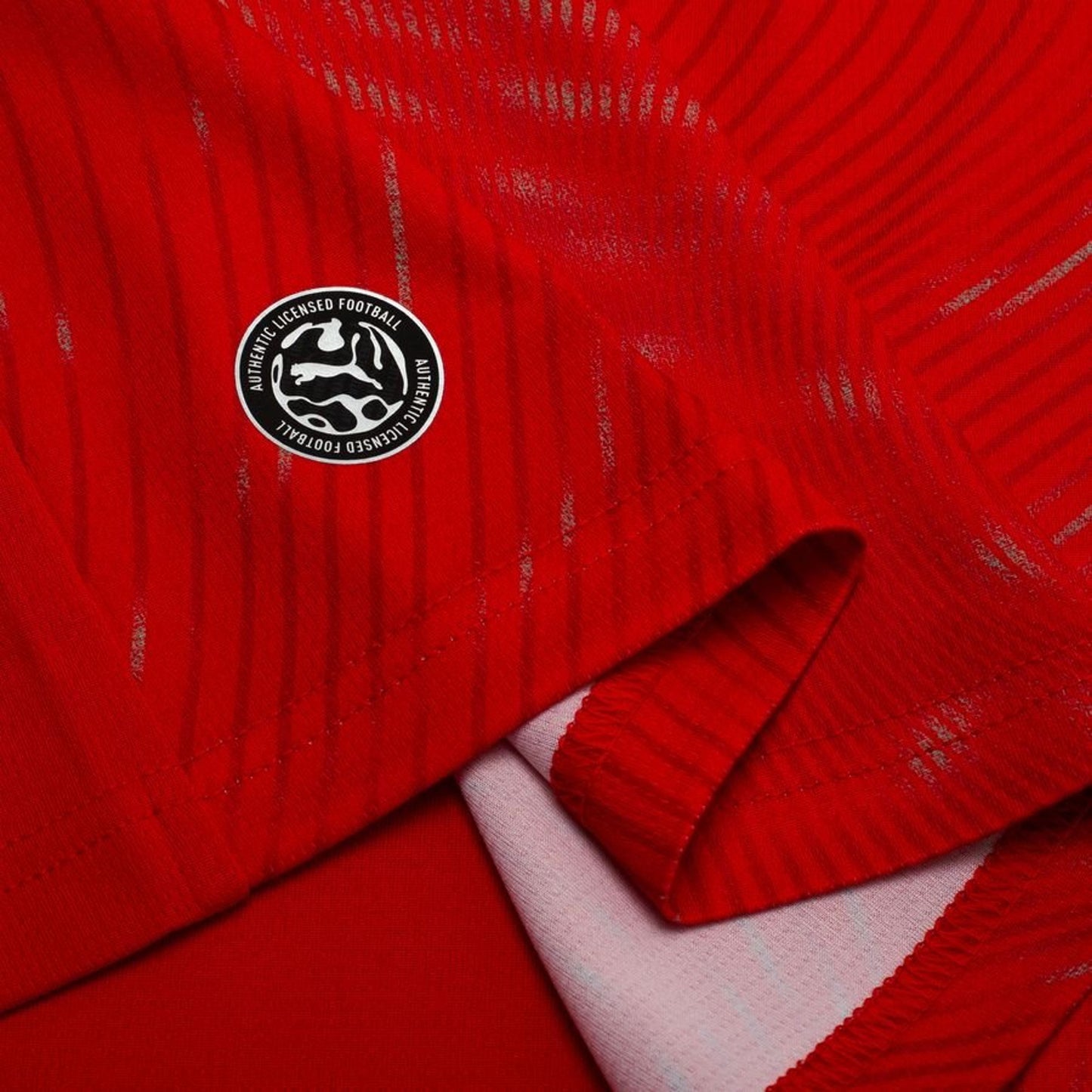 Maillot Suisse Domicile 2026